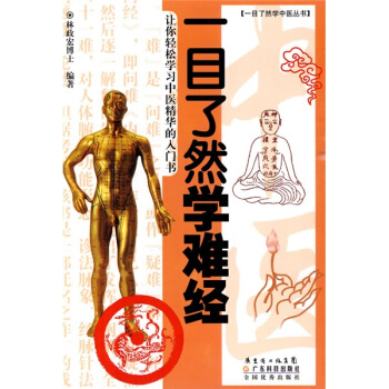 一目了然学难经 pdf epub mobi 下载