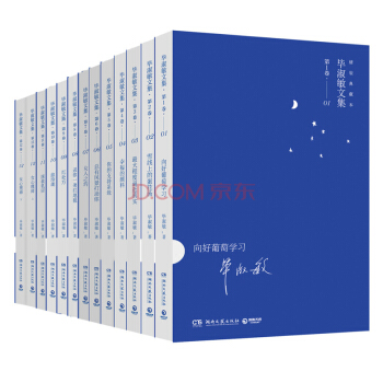 毕淑敏文集·精装典藏本（全12卷） 汇聚2015年前毕淑敏创作精华，极具收藏和礼品价值 pdf epub mobi 下载