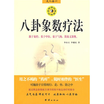 八卦象數療法 pdf epub mobi 下载