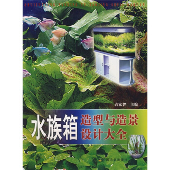 水族箱造型与造景设计大全 pdf epub mobi 下载