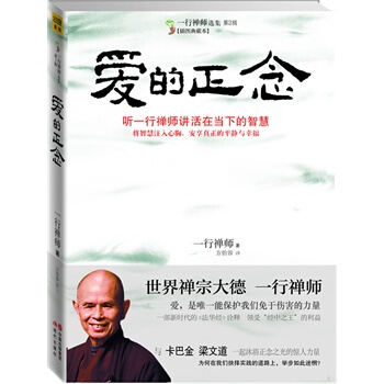正版现货 爱的正念：听一行禅师讲活在当下的智慧 一部备受万世尊崇的佛教经典 心灵读物畅销书 pdf epub mobi 下载