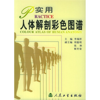 實用人體解剖彩色圖譜 pdf epub mobi 下载