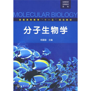 普通高等教育“十一五”规划教材：分子生物学 pdf epub mobi 下载