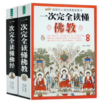 图解一次完全读懂佛经+图解一次完全读懂佛教全2册佛教基础知识 禅宗论集集金刚经心经禅书籍