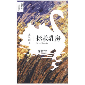 拯救乳房 pdf epub mobi 下载