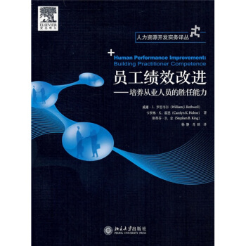员工绩效改进：培养从业人员的胜任能力 pdf epub mobi 下载