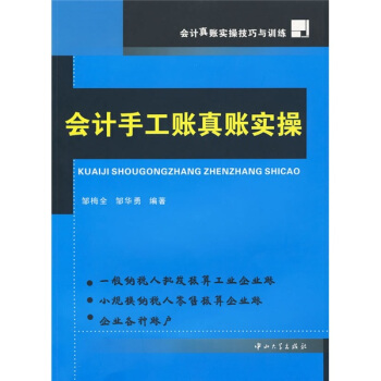 会计真账实操技巧与训练：会计手工账实操 pdf epub mobi 下载