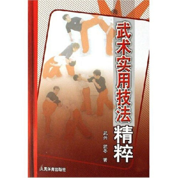 武术实用技法精粹 pdf epub mobi 下载