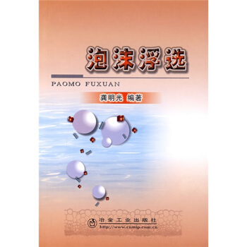 泡沫浮選 pdf epub mobi 電子書 下載