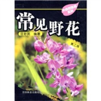 常见野花 pdf epub mobi 下载