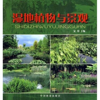 濕地植物與景觀 pdf epub mobi 電子書 下載
