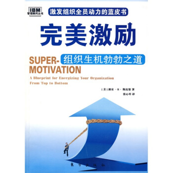 完美激勵：組織生機勃勃之道 [SUPER-MOTIVATION：A Blueprint for Energizing Your Organization From Top to Bottom] pdf epub mobi 下载