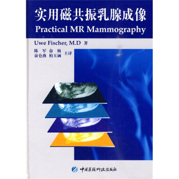 实用磁共振乳腺成像 pdf epub mobi 下载