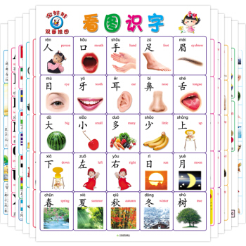 幼儿启蒙认知双面挂图全套12张 0-3岁宝宝早教挂图识字图 儿童撕不烂图 防水防油挂图