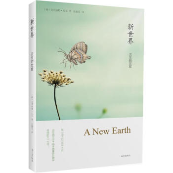 新世界：灵性的觉醒 [A New Earth] pdf epub mobi 下载