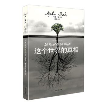 这个世界的真相 pdf epub mobi 下载