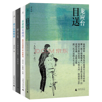 包邮龙应台作品 全集4册 套装孩子你慢慢来目送爱的安德烈野火集 文学书籍 散文 书信 随笔