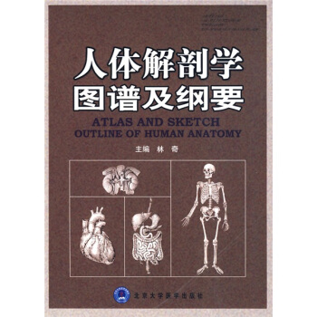 人體解剖學圖譜及綱要