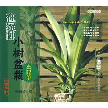 在傢種小樹盆栽真簡單 pdf epub mobi 電子書 下載