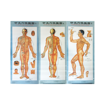 针灸穴位挂图（1-3）（附说明书） pdf epub mobi 下载