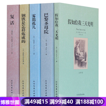 假如給我三天光明 鋼鐵是怎樣煉成的 巴黎聖母院 復活 霧都孤兒 世界文學名著小說全5本 pdf epub mobi 下载