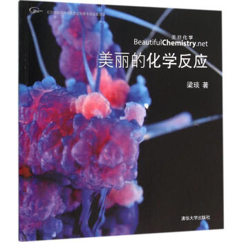 美丽的化学反应 pdf epub mobi 下载