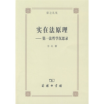 实在法原理:第一法哲学沉思录 pdf epub mobi 下载