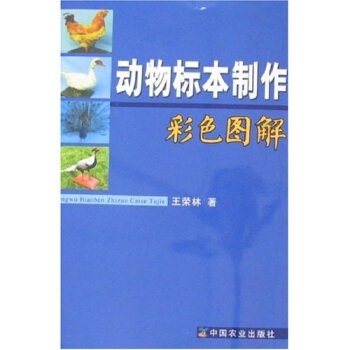 動物標本製作彩色圖解 pdf epub mobi 下载
