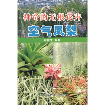 神奇的無根花卉：空氣鳳梨 pdf epub mobi 下载