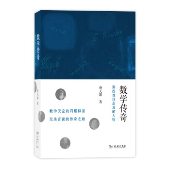 数学传奇:那些难以企及的人物