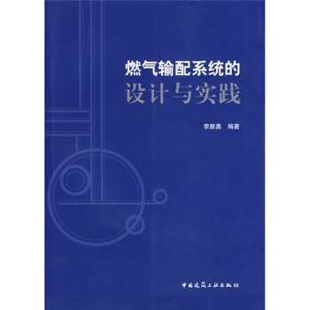 燃氣輸配係統的設計與實踐 pdf epub mobi 下载