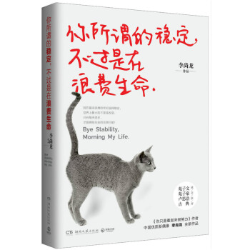 你所谓的稳定，不过是在浪费生命 李尚龙著 励志成功 自我完善 书籍 pdf epub mobi 下载