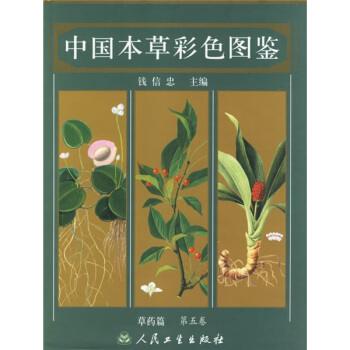 中國本草彩色圖鑒第5捲：草藥篇 pdf epub mobi 下载