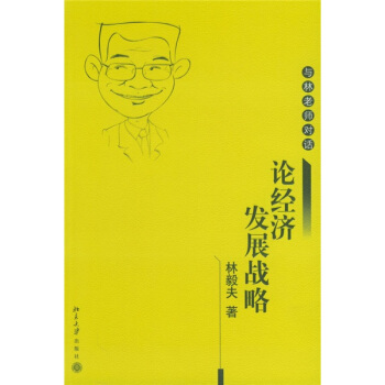 与林老师对话：论经济发展战略 pdf epub mobi 电子书 下载