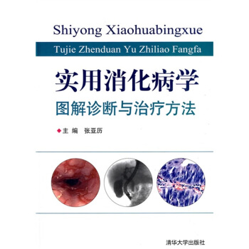 实用消化病学：图解诊断与治疗方法 pdf epub mobi 下载
