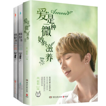 现货包邮 全套3册 爱是一种微妙的滋养+破碎的时光1-2册 沈肯尼沈煜伦的书籍作品美伦子小