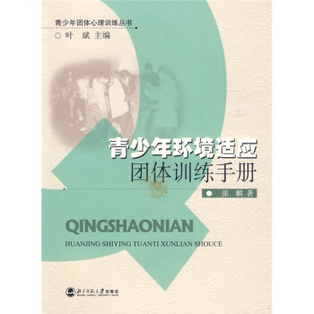 青少年环境适应团体训练手册 pdf epub mobi 下载