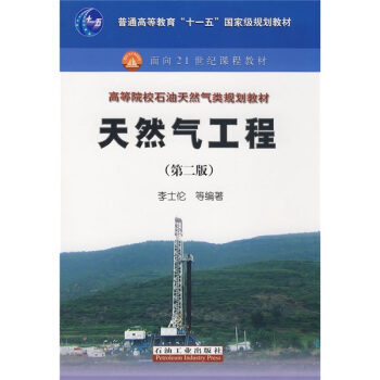 天然氣工程/普通高等教育“十一五”國傢級規劃教材 pdf epub mobi 下载