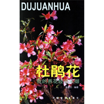 杜鹃花 pdf epub mobi 下载