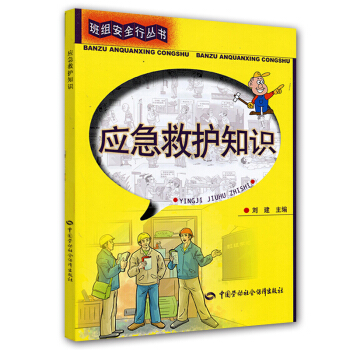 班組安全行叢書：應急救護知識 pdf epub mobi 下载