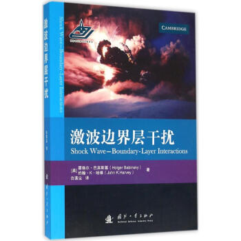 激波边界层干扰 pdf epub mobi 电子书 下载