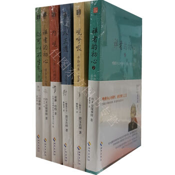 內觀+觀呼吸+八正道+你可以不生氣+禪者的初心1+禪者的初心2 全套6冊 禪修佛教入門 pdf epub mobi 電子書 下載