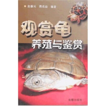 觀賞龜養殖與鑒賞