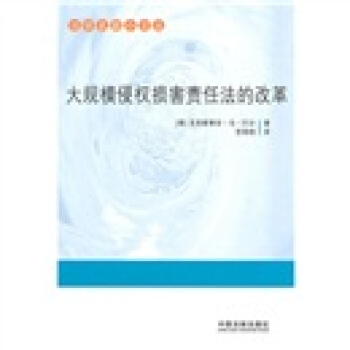 大规模侵权损害责任法的改革 pdf epub mobi 下载
