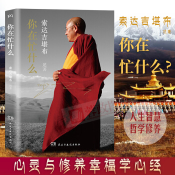 21省包郵 你在忙什麼 藏傳佛教大德索達吉堪布繼苦纔是人生後新書 現代人心靈修養人生智慧哲學宗教書籍 pdf epub mobi 電子書 下載