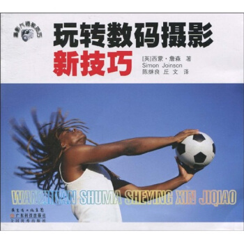 玩轉數碼攝影新技巧 pdf epub mobi 下载