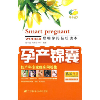孕产锦囊 pdf epub mobi 下载
