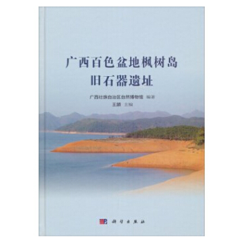 广西百色盆地枫树岛旧石器遗址