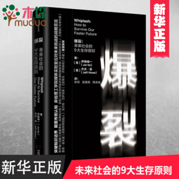爆裂：未來社會的9大生存原則 pdf epub mobi 下载