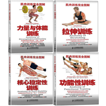 肌肉训练完全图解：力量与体能训练+拉伸训练+核心稳定性训 pdf epub mobi 下载